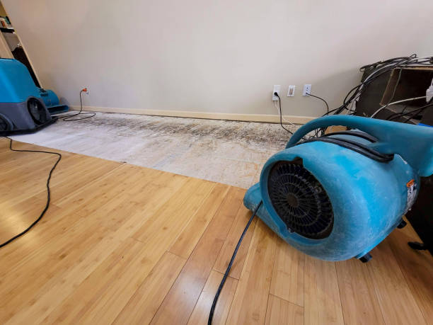 Professional Sewage Cleanup technician working in Paradise, TX